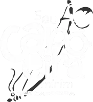 logo-ser-capoeira